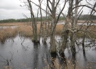 Picture 051